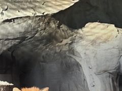 -武汉动物园
