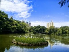 -人民公园(罗湖区)