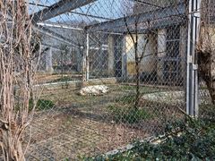 -合肥野生动物园