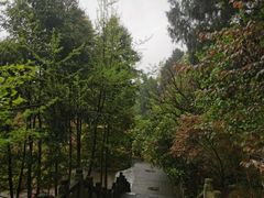 -都江堰普照寺