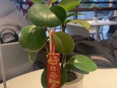 -德南面包房(尚都店)