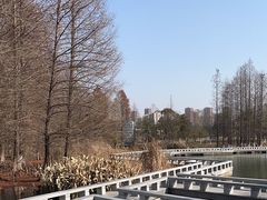 -白塘生态植物园