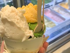 -鹤茶野所(上海首店)