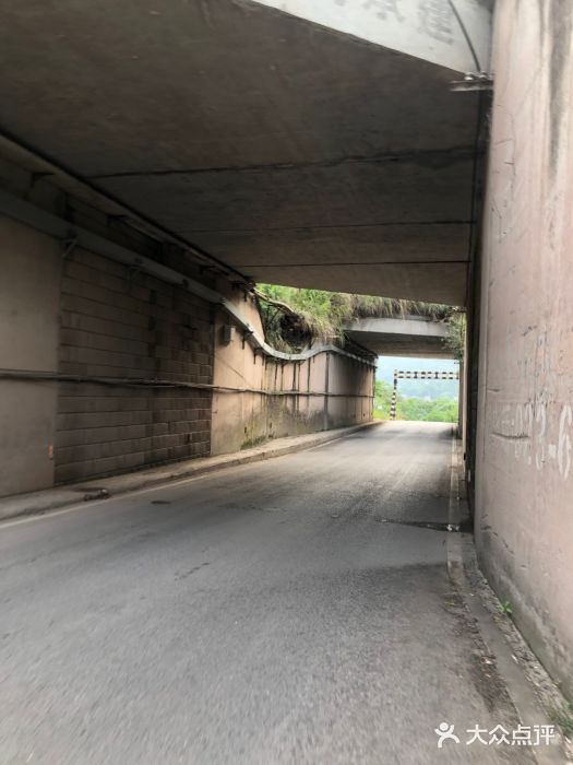 铁山坪森林公园图片