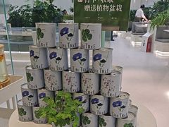 -大树餐厅(环球港店)