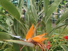 -国家植物园南园