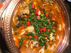 -沪小二炭火蛙锅(淮海中路美食不夜城店)