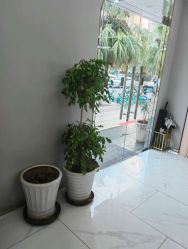 -MS.SALON美发沙龙