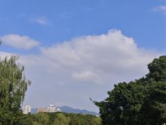 -江心屿景区