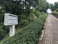 -东望洋炮台东望洋灯塔