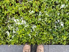 -星巴克臻选(长沙运达中央广场店)