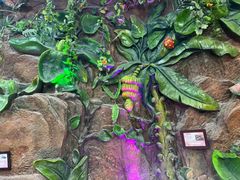 -上海大自然野生昆虫馆(东方明珠·爬宠昆虫探索中心)
