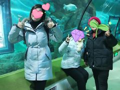 -福州罗源湾海洋世界旅游区