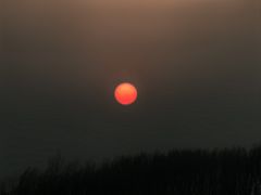 -丁香湖公园