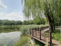 -北坞公园
