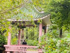 -名树园
