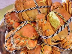 -小陆莲花蟹园农家乐(莲花岛店)