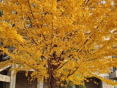 -辽宁大学(崇山校区)