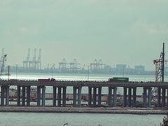 -宝安西湾红树林湿地公园