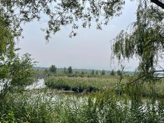 -野鸭湖国家湿地公园