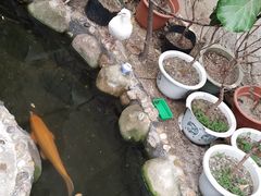 -上海大自然野生昆虫馆(东方明珠·爬宠昆虫探索中心)