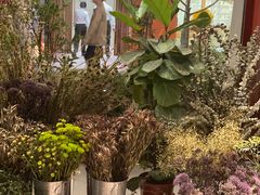 -二酉书店TOYOU BOOKS