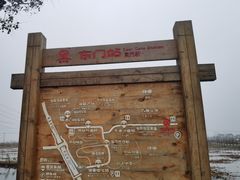 -池杉湖湿地公园