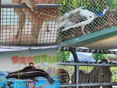 -南京汤山紫清湖生态旅游温泉度假区