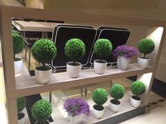 -太兴餐厅(东方广场分店)