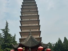 -洛阳白马寺