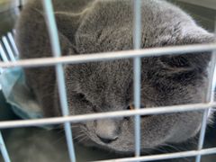 -博特宠物医院24h犬猫全科.骨科·异宠