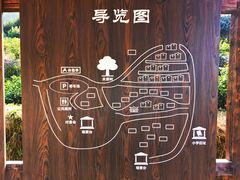 -杨家堂村