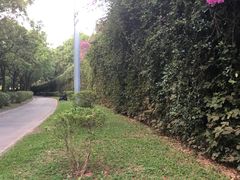 -星巴克臻选(深圳华强北茂业店)