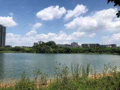 -广东花都湖国家湿地公园