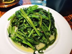 椒丝腐乳空心菜-老广酒楼(樱花店)