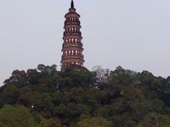 -顺峰山公园