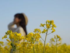 -汉长安城未央宫国家考古遗址公园