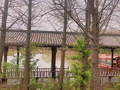 -溱湖国家湿地公园