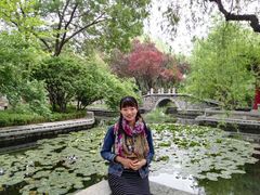 -颜家菜·鲁菜世家(大明湖店)