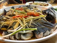 -煲来饱去冷水鱼