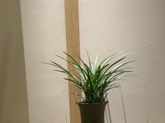 -南堂小馆·川菜馆(德商国际店)