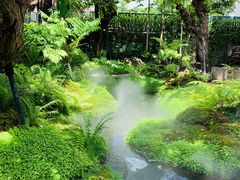 -Chom Cafe and Restaurant