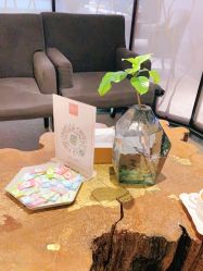 -娇莉芙美颜SPA连锁