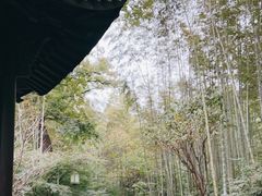 -云栖竹径