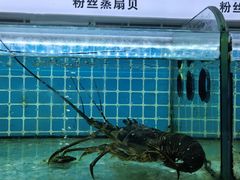 -覃记海鲜美食餐厅