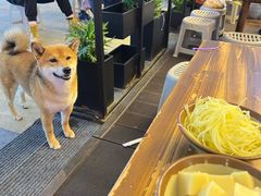 -笔记安顺夺夺粉火锅(龙湾万达店)