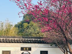-八大山人梅湖景区