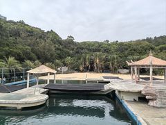 -广东惠东海龟国家级自然保护区