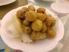 -椿记烧鹅(叠彩店)