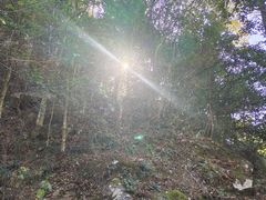 -罗田天堂寨风景区
